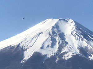 一富士二とんび