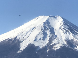 一富士二とんび