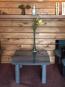 庭の花々